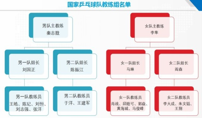 乒乓球中国等级制度详解（如何晋升到国家一级选手的方法）